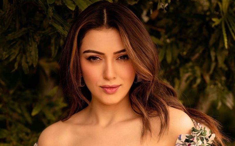 Hansika Motwani Affair Measurements Height Weight Bra Size Age