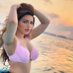 Shama Sikander Measurements Height Weight Bra Size Age Husband Affair Family & More