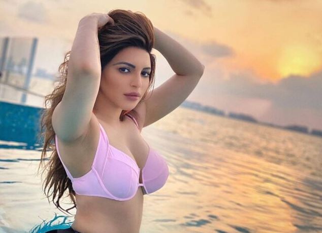 Shama Sikander Measurements Height Weight Bra Size Age Husband Affair Family & More